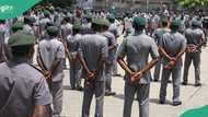 Apply: Nigeria Customs releases update on 2025 recruitment, states requirements