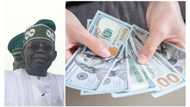 FG's exchange rate unification yields results as Nigeria earns $2.55 billion as forex inflow in 2 months