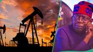 After Dangote's outbursts, NUPRC set to amend crude supply regulation, calls for input