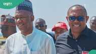 "Exercise in futility": Labour Party chieftain reveals why Peter Obi will lose at Supreme Court