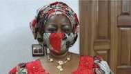BREAKING: Senate rejects Onochie as INEC commissioner, gives unexpected reason
