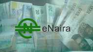 Lagos missing as North leads in eNaira adoption in Nigeria