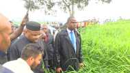 Akwa Ibom state govt to commence tomato paste production