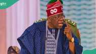 N5bn palliative to states: “Nigerians must hold govs accountable”, Tinubu