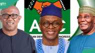 2027 Presidency: 7 facts about ADC as Atiku, Peter Obi, El-Rufai adopt party to form coalition against Tinubu