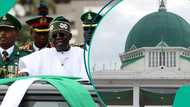 Sanatan Borno ya yi wa ministan Tinubu barazanar tsige shugaban kasa a majalisa