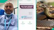 Snakebite: Doctor shares price of antivenom as he laments, amount he posted triggers Nigerians