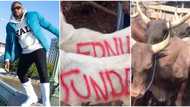 Just like Obi Cubana mum’s burial, celebrities gift Tunde Ednut cows, to celebrate his birthday in 3 states