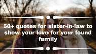 50+ quotes for sister-in-law to show your love for your found family