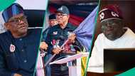 "What Obi should learn from Tinubu": Wike drops unexpected