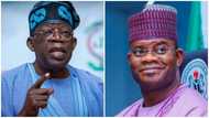 APC presidential campaign list: Alliance commend Tinubu over Bello's choice as council's youth coordinator