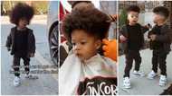 "This is so sweet": Adorable twin babies with thick dark hair get first cut, saloon video goes viral