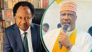 “Brother Dino is angry”: Shehu Sani reacts as Melaye lists 3 politicians 'destroying' PDP