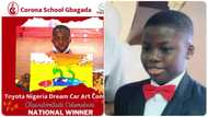 From 782,000 students worldwide, 10-year-old Nigerian boy emerges winner of multimillion naira award