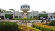 Breaking: University of Ibadan finally names Adebowale as 13th VC