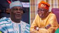 Presidency rejects Atiku’s proposal, accuses ex-VP of “peddling economic fantasies”