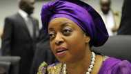 Again, Magu decries UK’s refusal to extradite Allison-Madueke