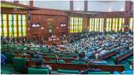 Electoral Act: Governors lobby Senate, Reps on Direct Primary to elect party candidate