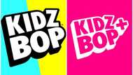 Who owns Kidz Bop? The story behind the brand's ownership