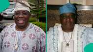 Ayinde Barrister: Inspiring story of music legend who pioneered Fuji making waves years after death