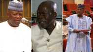 Babu wanda ke tsangwaman Yari - Shugaban APC na bangaren Kabiru Marafa