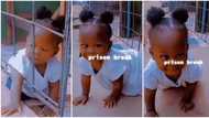 "Prison break": Little baby cleverly escapes from iron door, video of how she did it stuns netizens