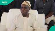 Obasanjo opens up on having children: "The cycle continues"