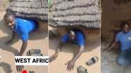 "Never seen this before": Man crawls into his mud room in Togo, video surprises many