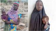 Boko Haram: Abubakar Shekau's name resurfaces as Chibok girls speak about Sambisa Forest