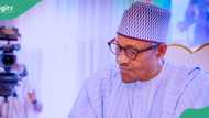 2027 election: Top APC gov speaks on Buhari, Malami, others' possible resignation from party