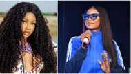 See how far I’ve come: BBNaija’s Tacha says, tells fans hard work pays