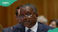 Dangote’s net worth rises to highest level after making over N600bn in one day