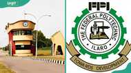 Federal Polytechnic Ilaro courses and admission requirements