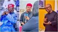 Tinubu or Peter Obi? APC chieftain reveals who Anambra youths will vote for