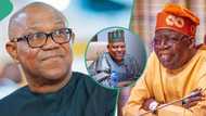 Tinubu: Why Supreme Court should dismiss Peter Obi's appeal against my victory