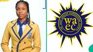 WAEC 2025 results of Port Harcourt school emerge, top student gets A1 in 6 subjects, including Maths