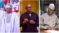 Why Peter Obi is ahead of Atiku: Festus Keyamo surprises Nigerians as he drops another eye-opener