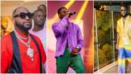 “30bg go vex if dem see this thing”: Wizkid FC nominated as the most active fanbase
