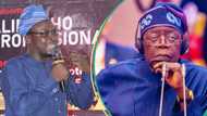 3 things Tinubu's govt can do to save the Naira, university lecturer shares