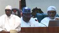 JUST IN: Buhari arrives national assembly for his last budget presentation, Lawan makes fresh vow