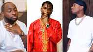 "I feel Davido will soon burn out": Speed Darlington highlights singer's talent and his encounter with Wizkid