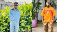 "I made N500k within 4 hours Don Jazzy shared my content": Financial advisor expresses gratitude to producer