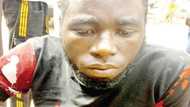 Kudin aure nake nema shi yasa na shiga fashi da makami - Matashi Shehu Abdullahi