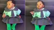 "She behaves like an adult": Mother enrols 4-month-old baby in school, video stuns many