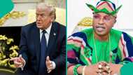 Apologise to Iran for siding with Israel, Nigerian king tells Trump