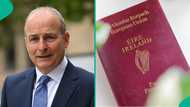 Ireland mentions 1 category of foreigners exempt from paying citizenship certificate fee