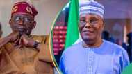 Atiku’s lawyers make fresh move as Chicago State University releases Tinubu’s academic record
