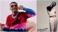 Fans react as Wizkid finally drops Made in Lagos album