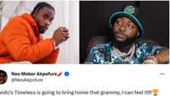 “Imagination wan kill am”: BBN’s Neo says Davido’s Timeless album will win Grammy, post raises funny reactions