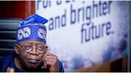 2023: Atiku, Obi shiver as Tinubu gets major endorsement from prominent Nigerian cleric